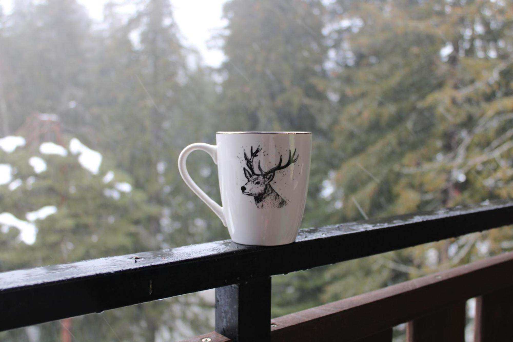 Mountain Studio Asp E63 Borovets Gardens Ngoại thất bức ảnh